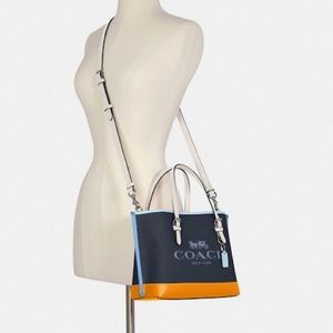Mollie Tote Colorblock